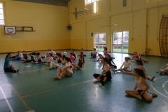 cellulare ritmica 17-04.2016 228