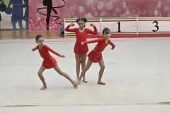Gara-ginnastica-ritmica-Centro-danza-Sport-Pinerolo_10-7