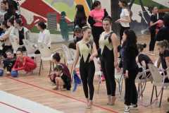 Gara-ginnastica-ritmica-Centro-danza-Sport-Pinerolo_10