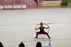 Gara-ginnastica-ritmica-Centro-danza-Sport-Pinerolo_14-5